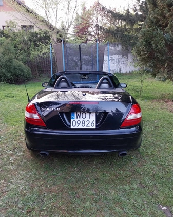 Mercedes-Benz SLK cena 51660 przebieg: 206000, rok produkcji 2006 z Karczew małe 37